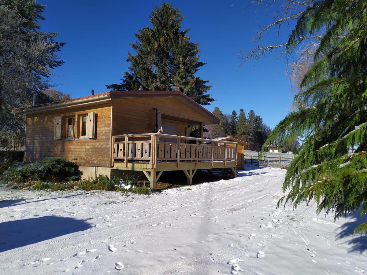 Chalet Du Spiemont Champdray Exterior photo